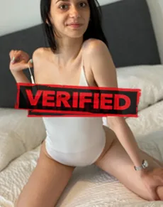 Vanessa sexo Prostituta Camargo